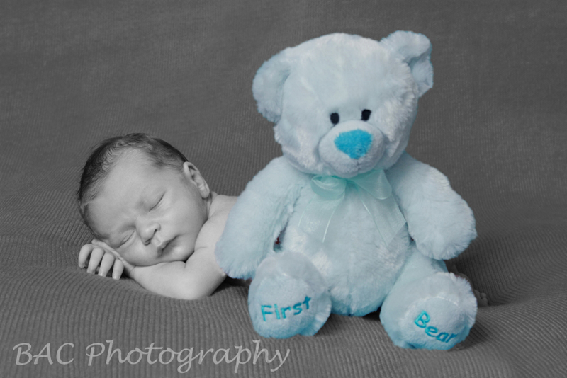 Newborn Baby Portrait