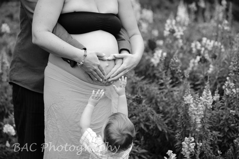 Lifestyle Maternity Photographer