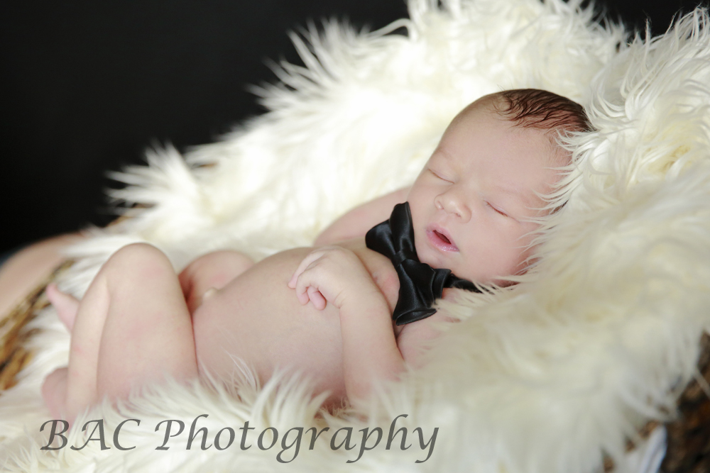North Lakes Newborn Portrait Photographer