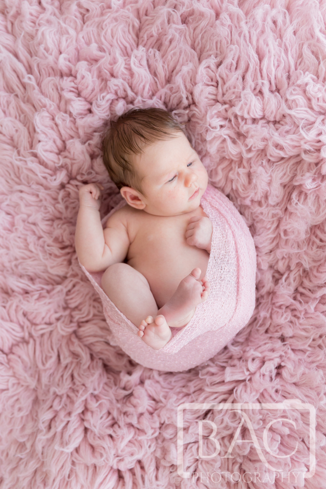 Newborn baby posed on a pink rug