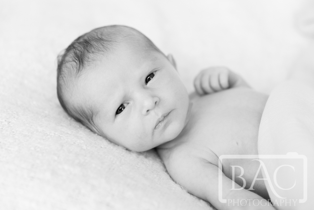 black and white newborn portrait