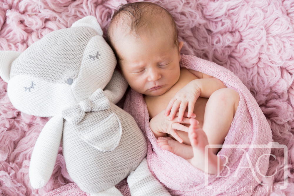 Newborn baby girl with teddy