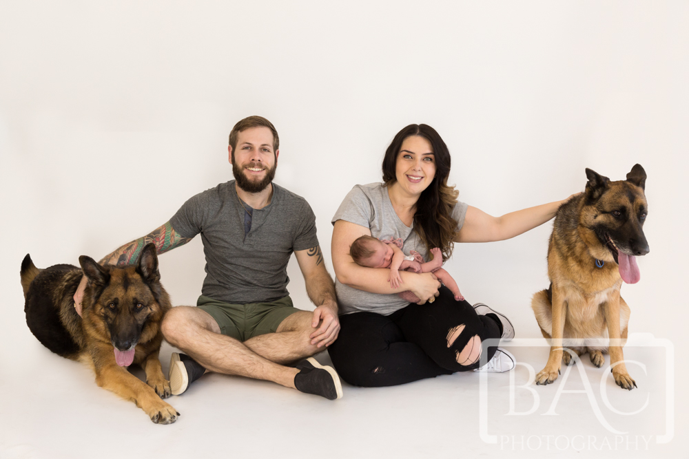 Newborn family portrait with mum, dad, baby and dogs