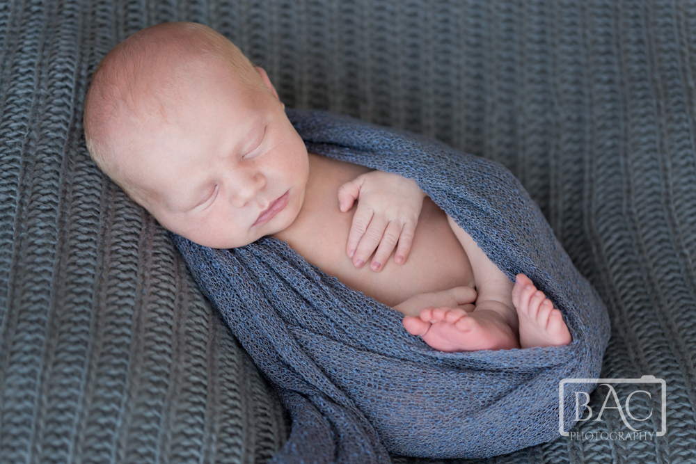 10 day old newborn portrait
