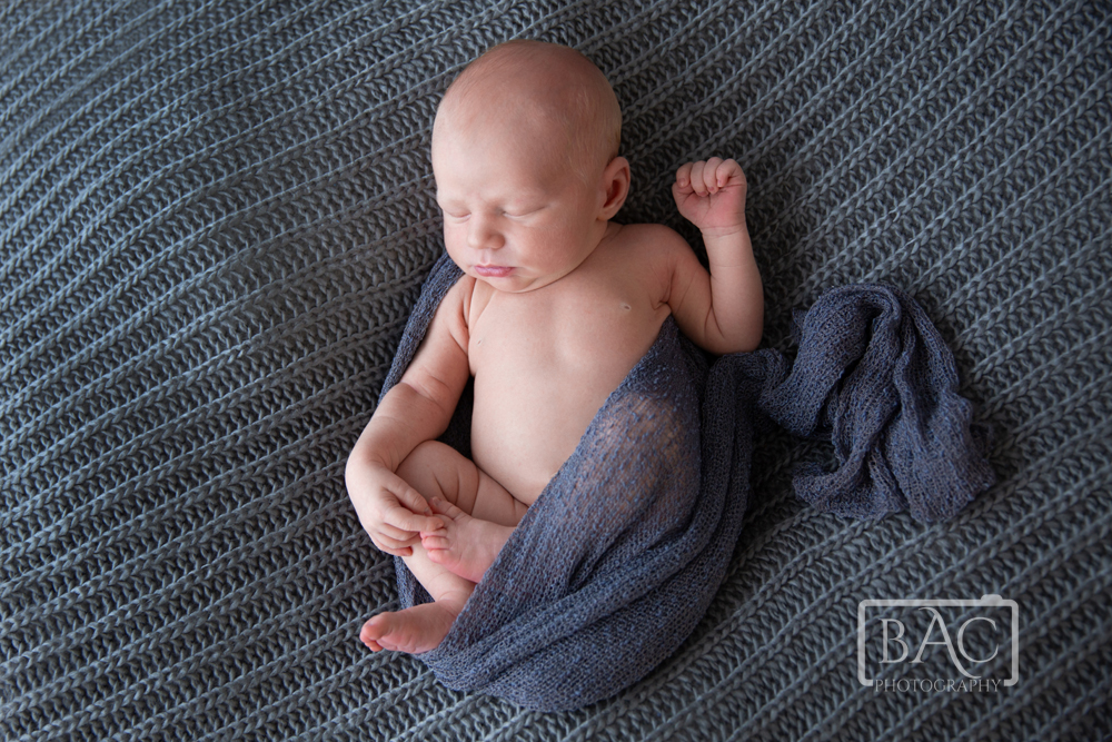 10 day old newborn portrait