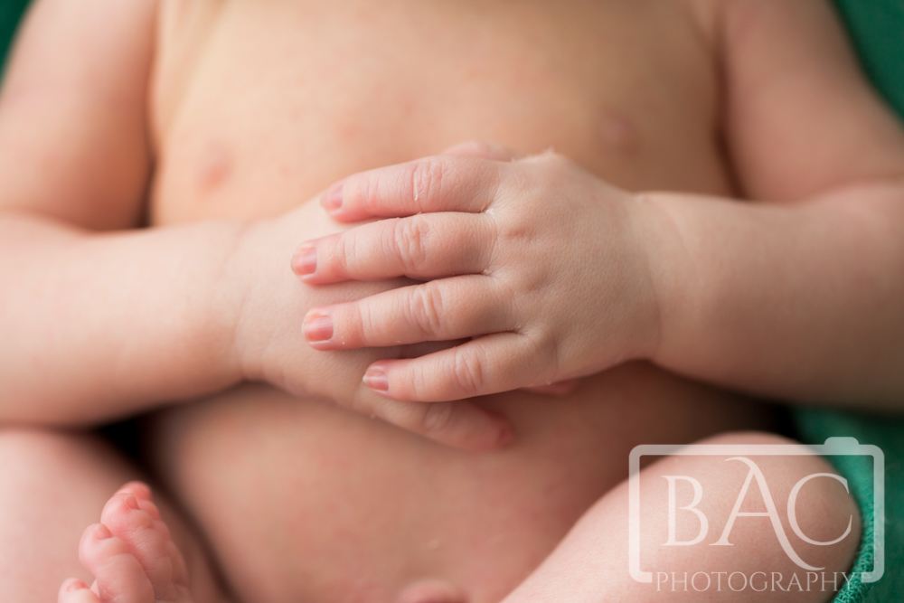 Newborn baby boy portrait close up of hands