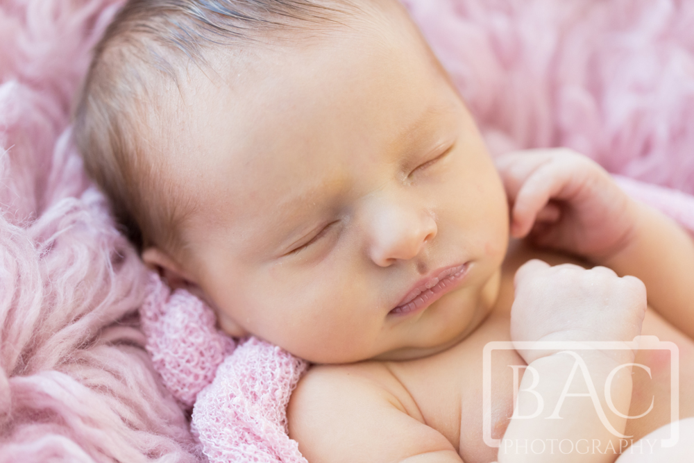16 Day old Newborn girl portrait wrapped in pink
