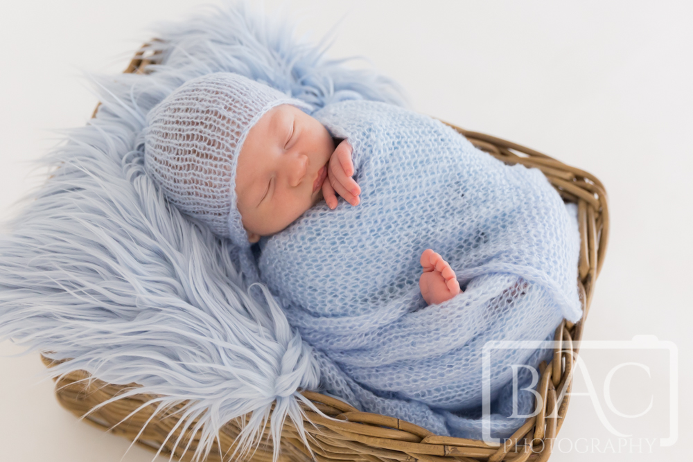 Newborn portrait in basket