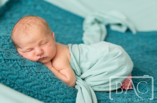 Newborn Portrait on green blanket