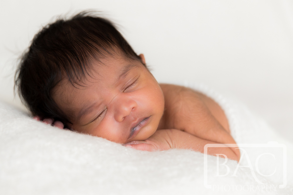 12 Day old newborn portrait