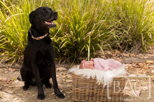 outdoor newborn portrait with pet