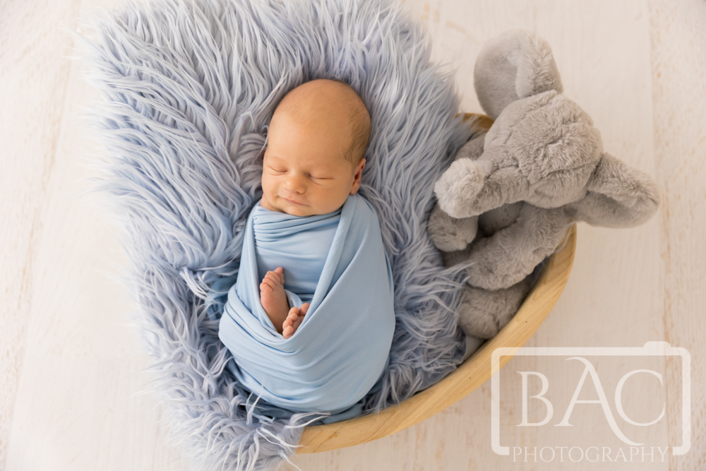 swaddled newborn and toy elephant in heart box