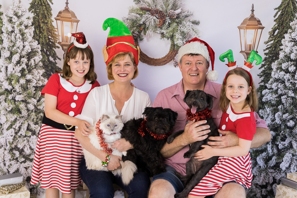 family studio christmas portrait with pets