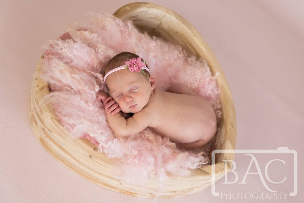 sleeping swaddled newborn portrait in heart bucket